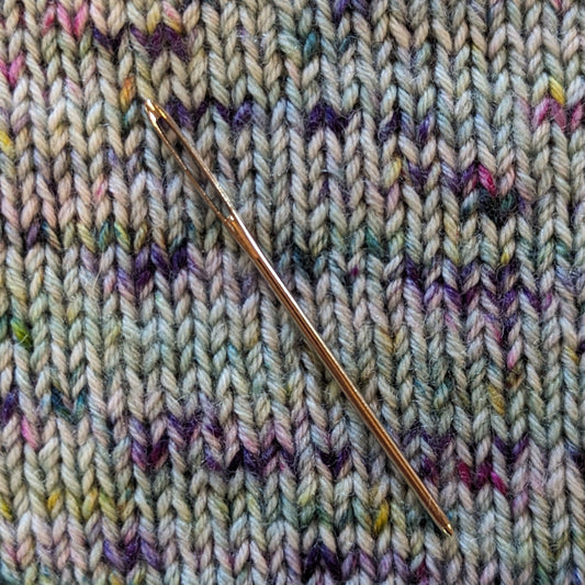 Darning Needle