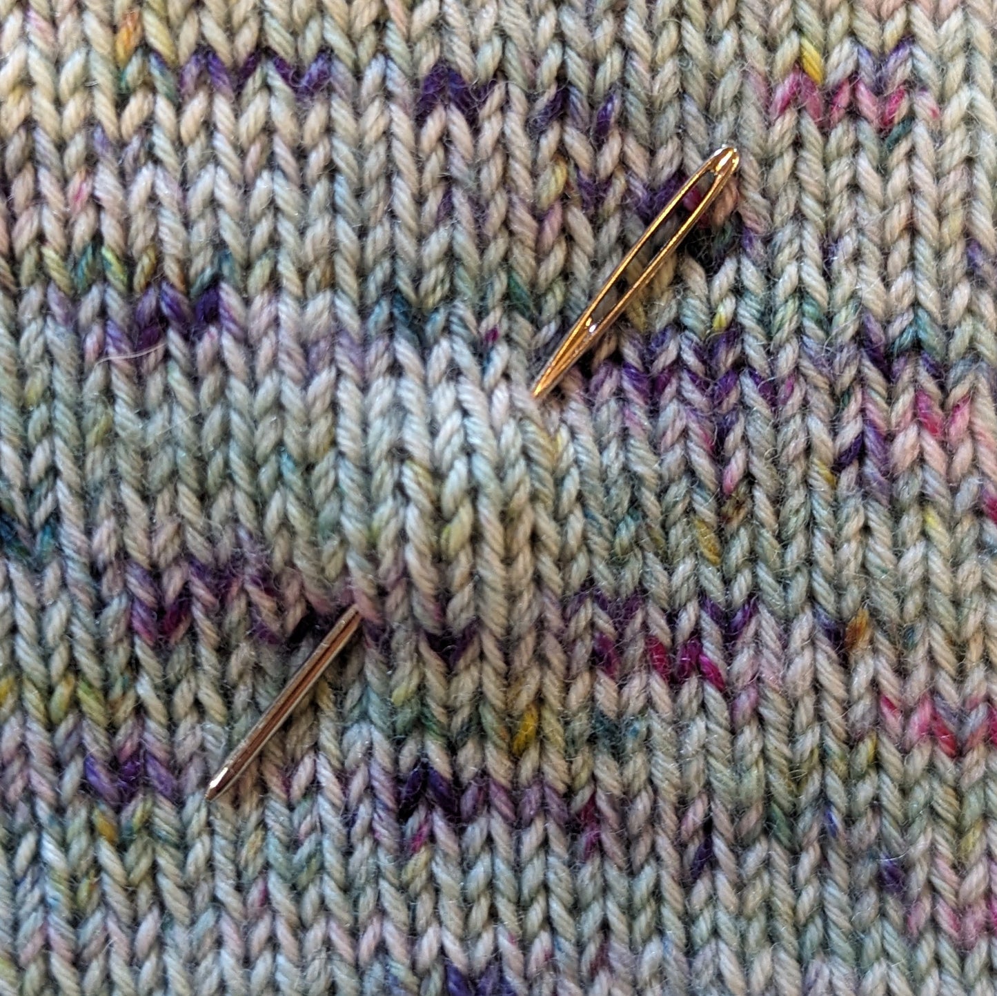Darning Needle