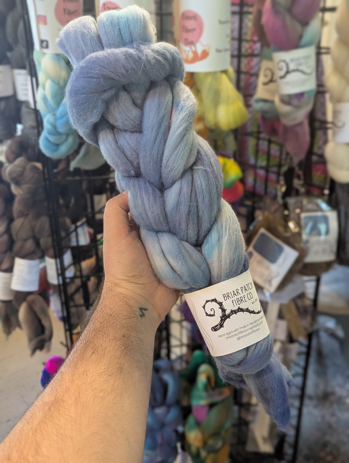 WS: Targhee Spinning Fiber (3 braids)